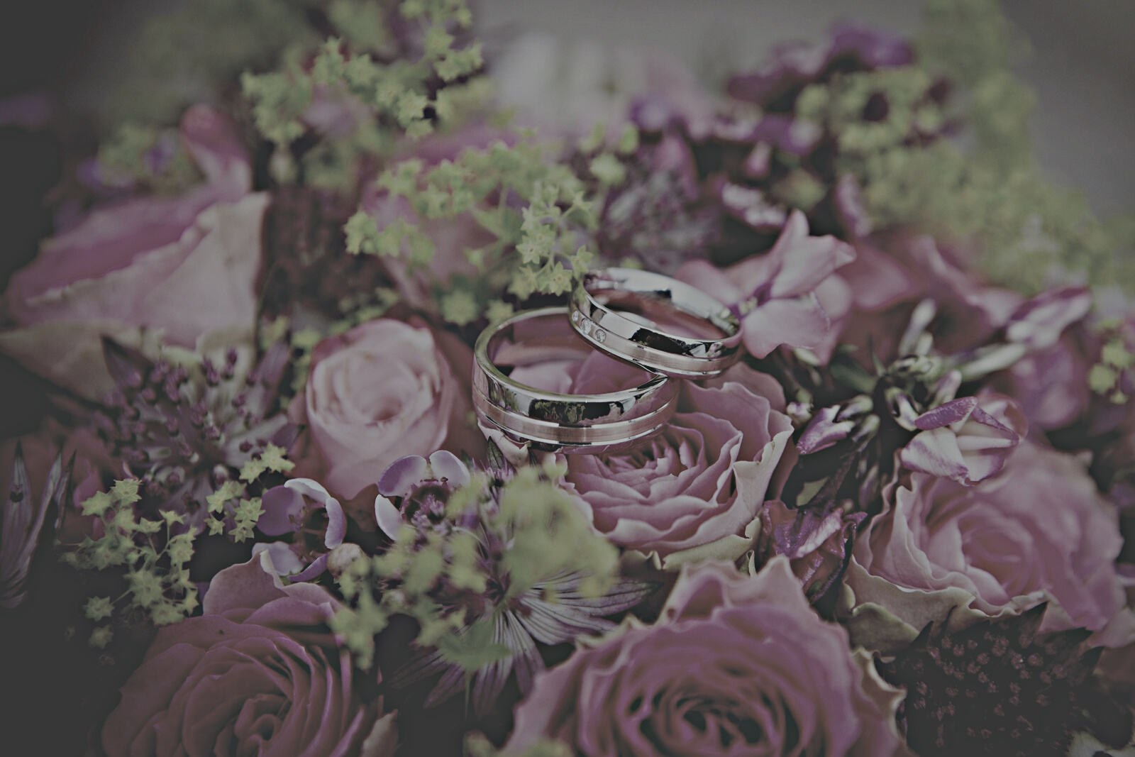 Wedding Rings on Rose Flowers